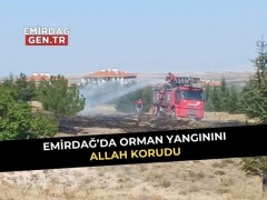 Emirdağ’da Orman Yangınını Allah Korudu